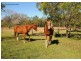 103 Moes Road, Walligan QLD 4655