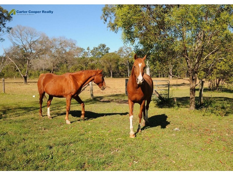 103 Moes Road, Walligan QLD 4655