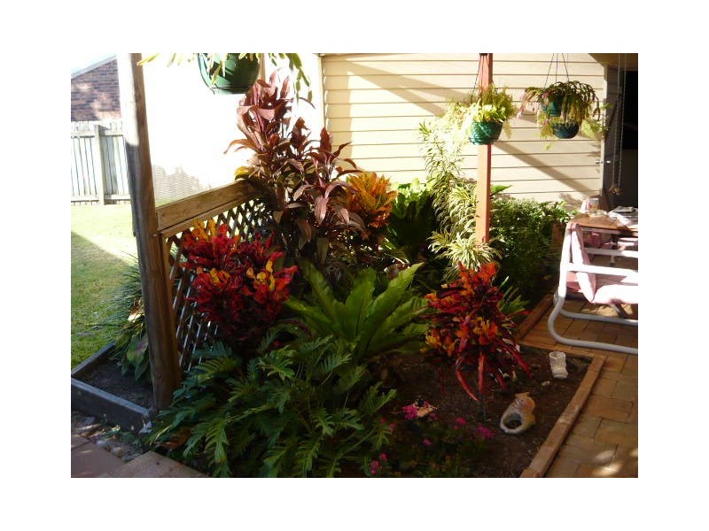 12 Shoreline Crt, Urangan QLD 4655