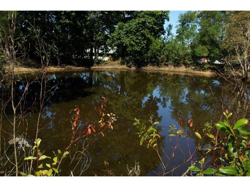 238 Bingham Road, Booral QLD 4655