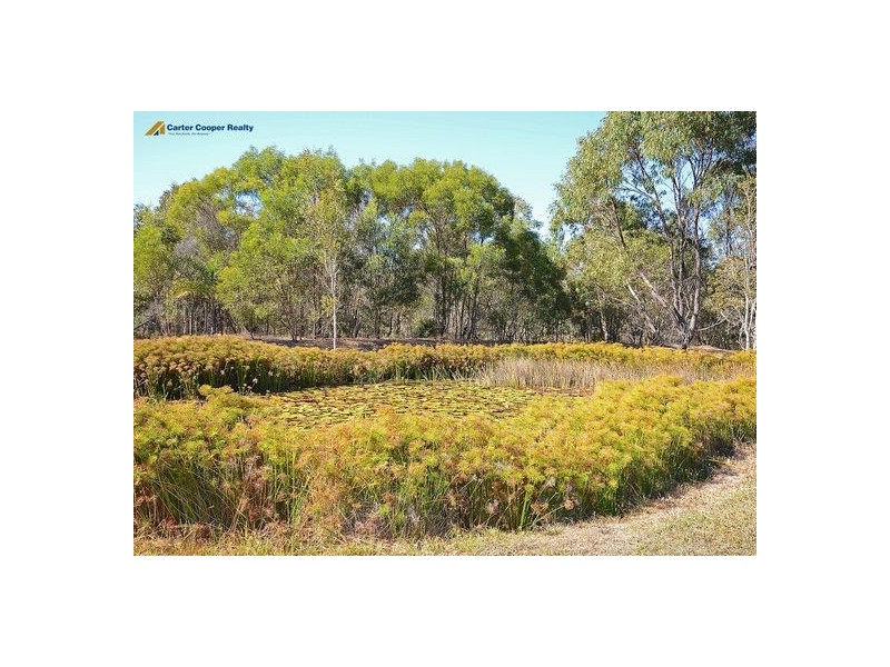 11 Oakmont Place, Wondunna QLD 4655