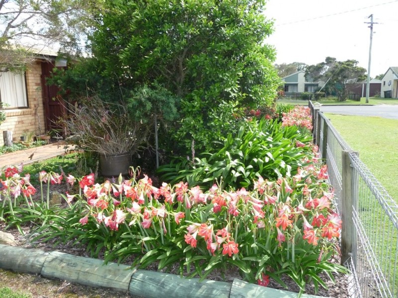 1 Howlett Street, Urangan QLD 4655