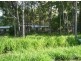 27 Spence Street, Point Vernon QLD 4655