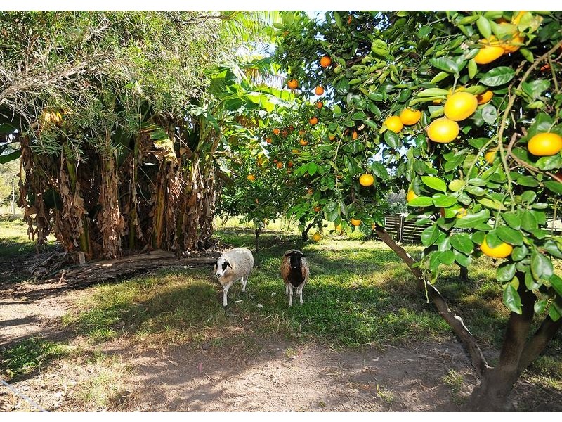 35 Hamilton Drive, Craignish QLD 4655