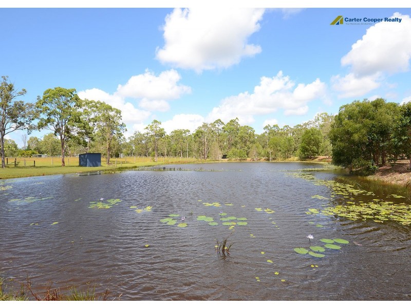 214 Condor Drive, Sunshine Acres QLD 4655