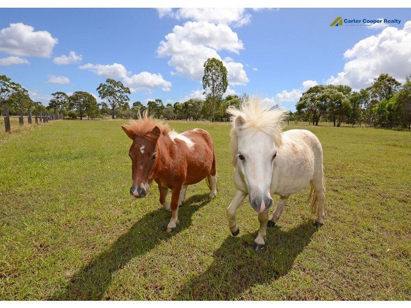 214 Condor Drive, Sunshine Acres QLD 4655