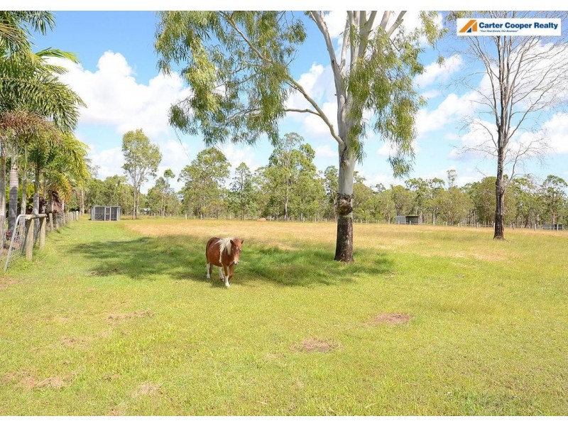 214 Condor Drive, Sunshine Acres QLD 4655