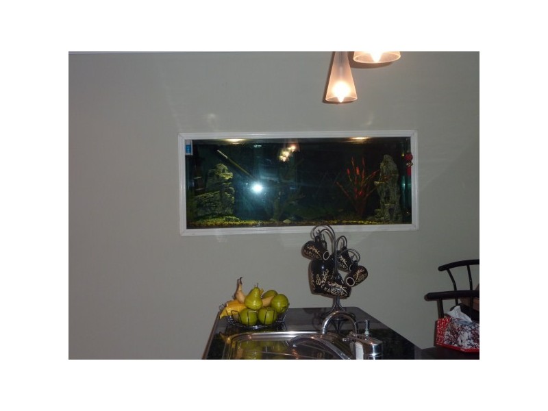 12 Avery Court, Dundowran Beach QLD 4655