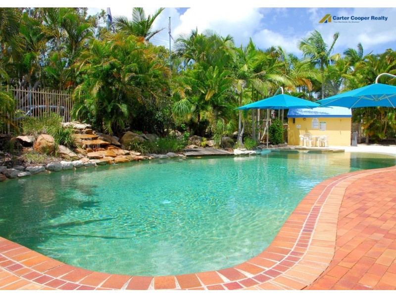 55, 386 Esplanade, Torquay QLD 4655