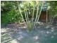 19 Gibbs Street, Urangan QLD 4655