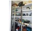 9 Montrose Cl, Point Vernon QLD 4655