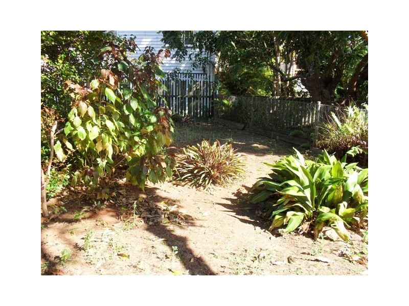116 Cypress Street, Torquay QLD 4655