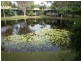 19/1 Shell Street, Urangan QLD 4655