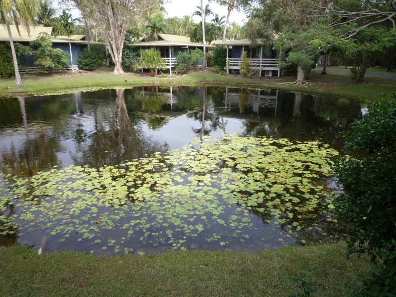 19/1 Shell Street, Urangan QLD 4655