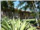20 Areca Drive, Kawungan QLD 4655