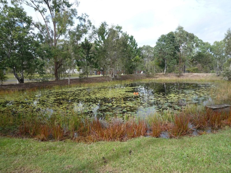 200 Condor Drive, Sunshine Acres QLD 4655