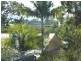 12 Hillcrest Avenue, Scarness QLD 4655