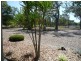 4 Ti Tree Road East, Booral QLD 4655
