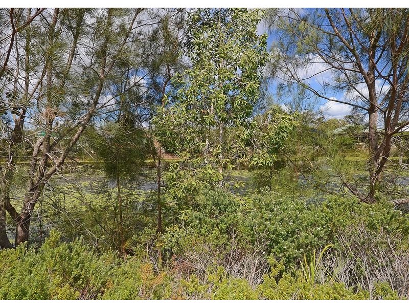 7 Conservation Drive, Urraween QLD 4655