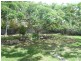 25 Honiton Street, Torquay QLD 4655