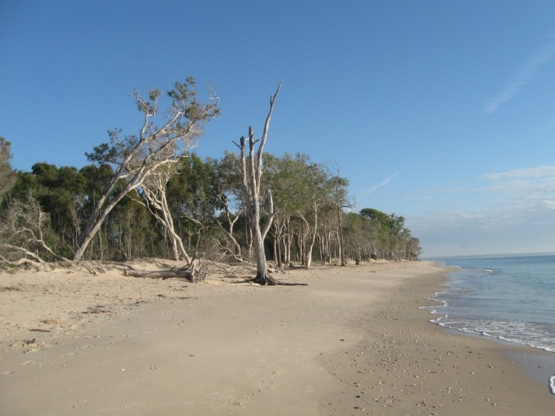 13 Fulmar Court, Burrum Heads QLD 4659