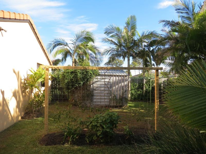 61 Bowerbird Avenue, Eli Waters QLD 4655