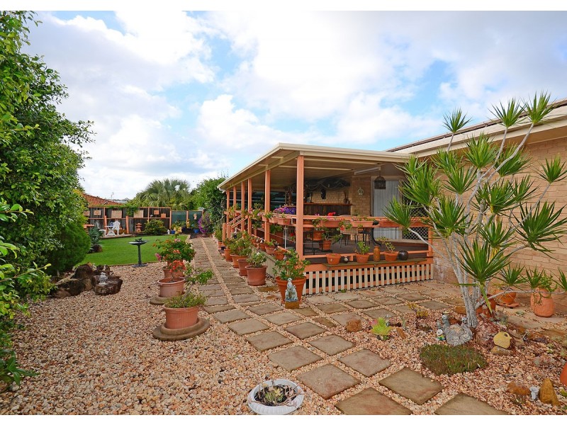 16 Craig Crescent, Pialba QLD 4655