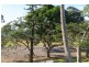 18 Mant Street, Point Vernon QLD 4655