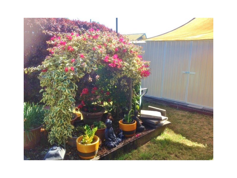 117-34 Elizabeth Street, Urangan QLD 4655