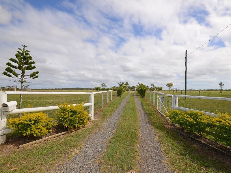 31 Finch Court, Walligan QLD 4655