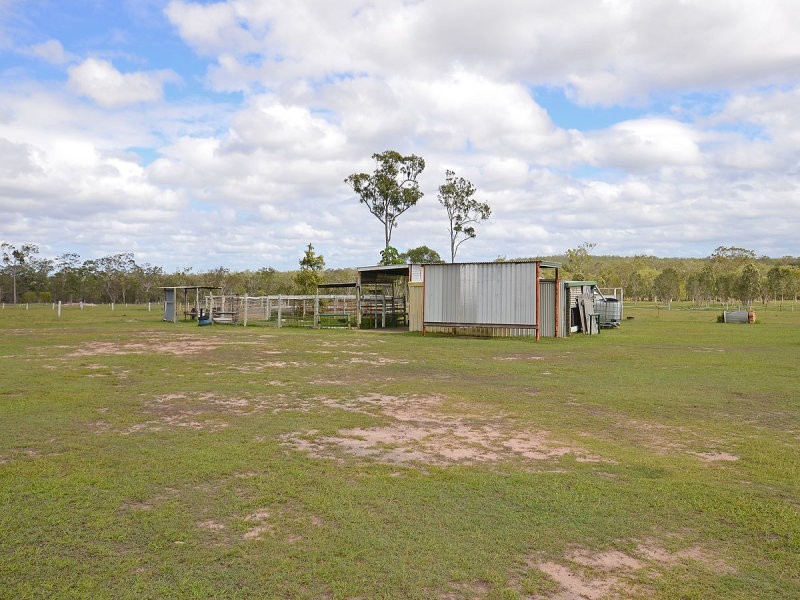 31 Finch Court, Walligan QLD 4655