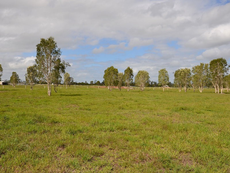 31 Finch Court, Walligan QLD 4655