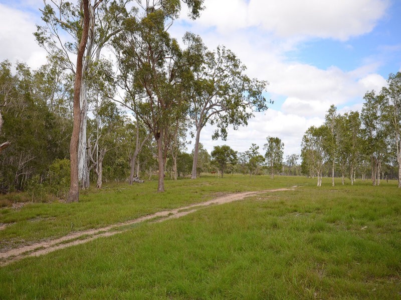 31 Finch Court, Walligan QLD 4655