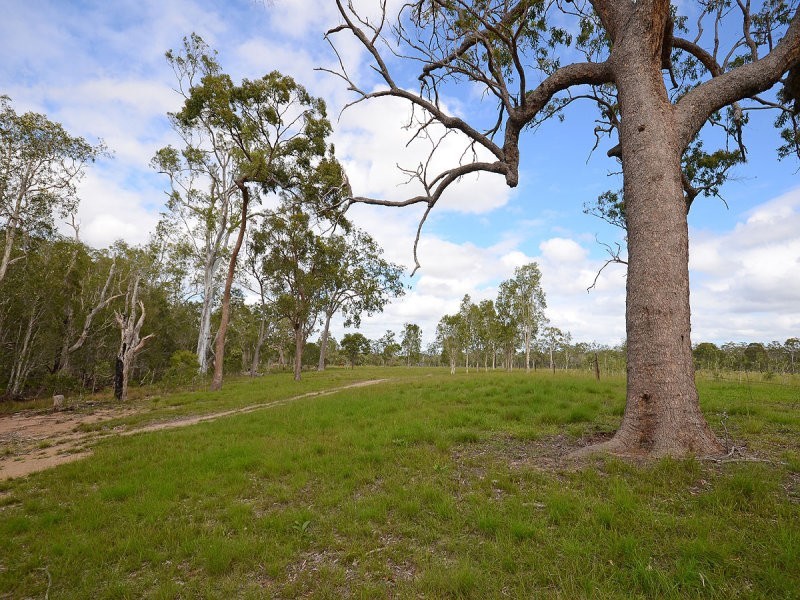 31 Finch Court, Walligan QLD 4655