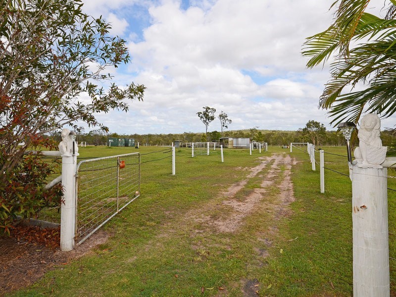 31 Finch Court, Walligan QLD 4655