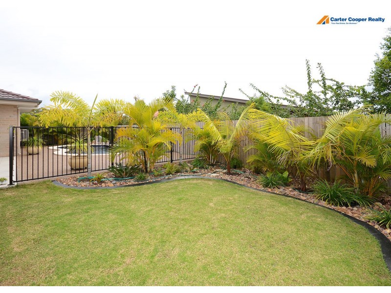 17 Salamander Avenue, Urraween QLD 4655