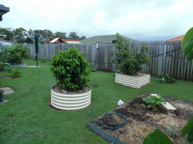 2/107 Nissen Street, Urraween QLD 4655