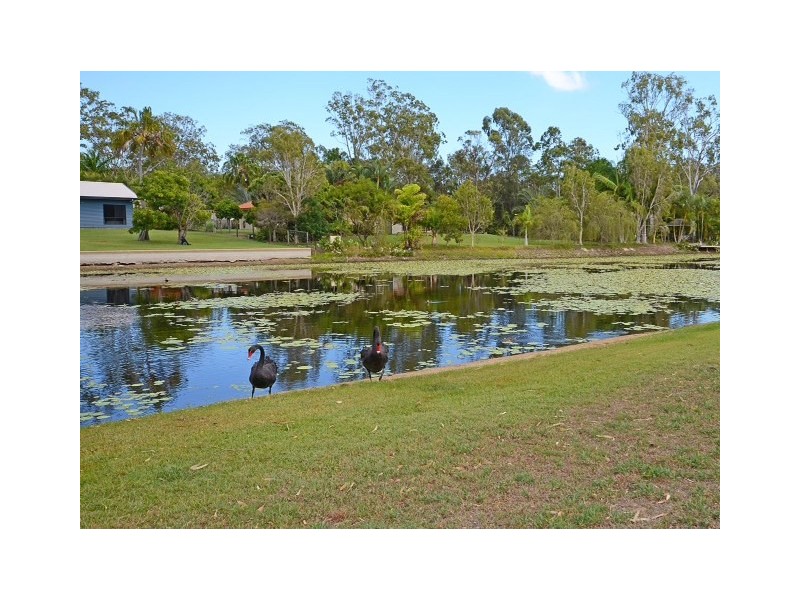 55 Vine Forest Drive, Dundowran Beach QLD 4655