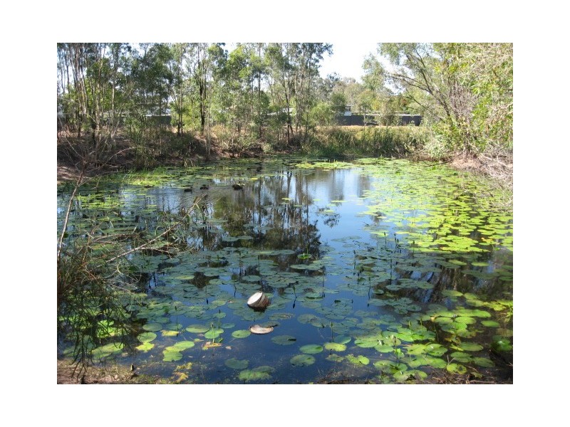 92 Colyton St, Torquay QLD 4655