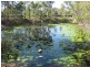 92 Colyton St, Torquay QLD 4655