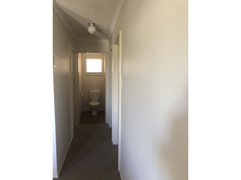 37 Limpus Street, Urangan QLD 4655