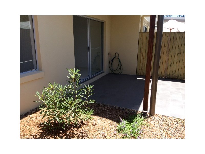 V17/138 Cypress Street, Urangan QLD 4655