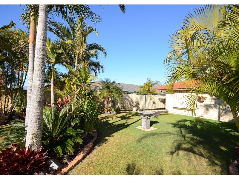 137 Ibis Boulevard, Eli Waters QLD 4655