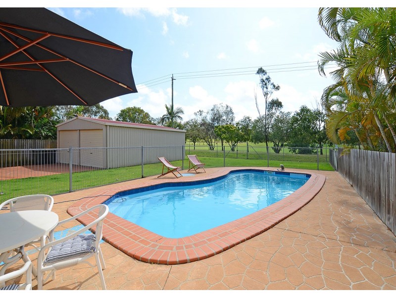 31 Bowerbird Ave, Eli Waters QLD 4655