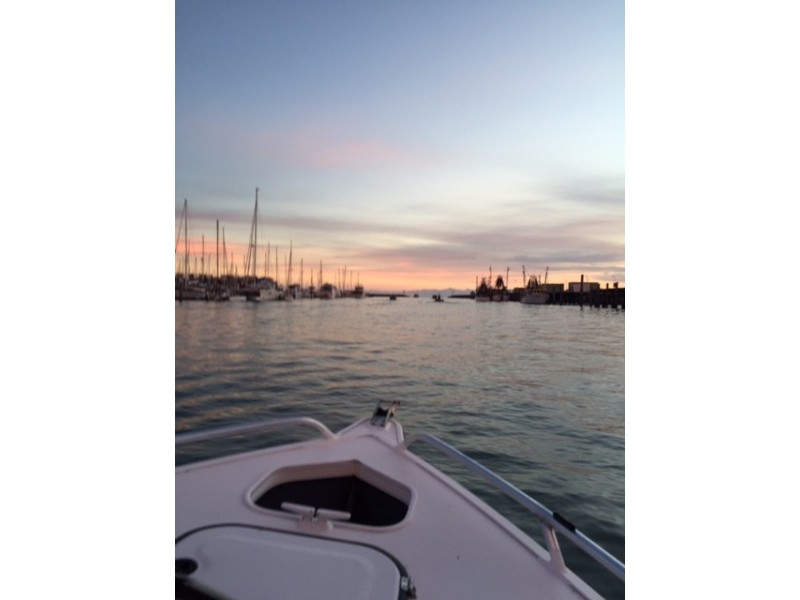 20 Spoonbill Way, Eli Waters QLD 4655