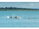 44 Turnstone Bvd, River Heads QLD 4655