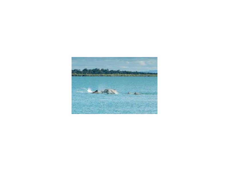 44 Turnstone Bvd, River Heads QLD 4655