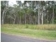 Lot 23 Carter Lane, Dundathu QLD 4650