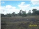 22 Union Street, Torbanlea QLD 4662