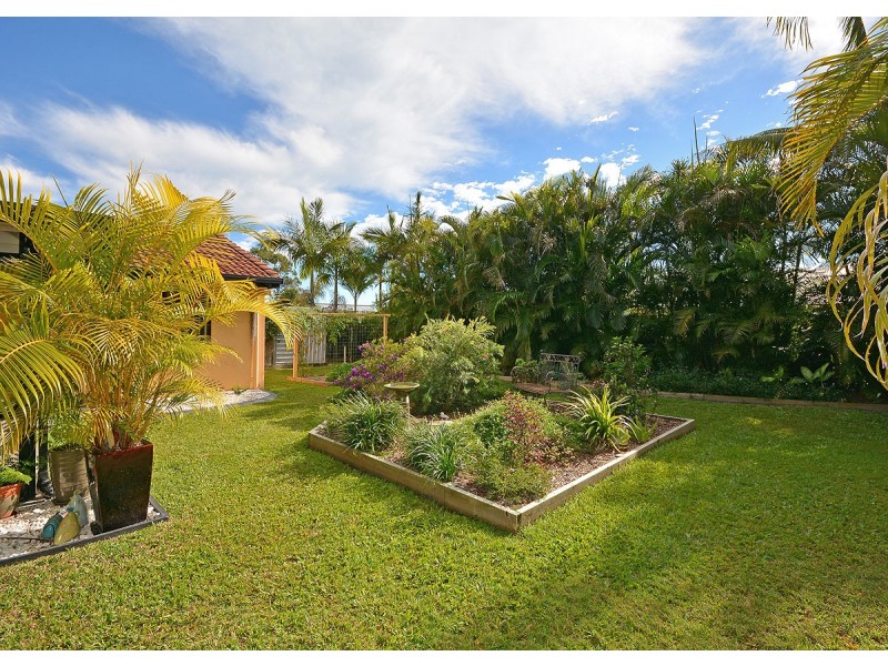 61 Bowerbird Avenue, Eli Waters QLD 4655